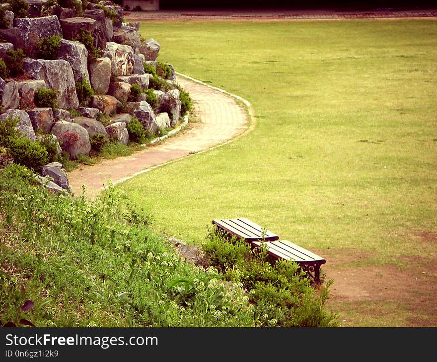 Grass, Lawn, Field, Landscape