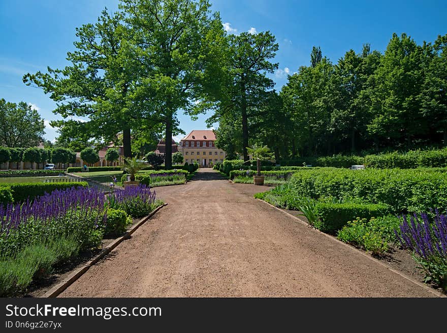 Garden, Nature, Botanical Garden, Plant