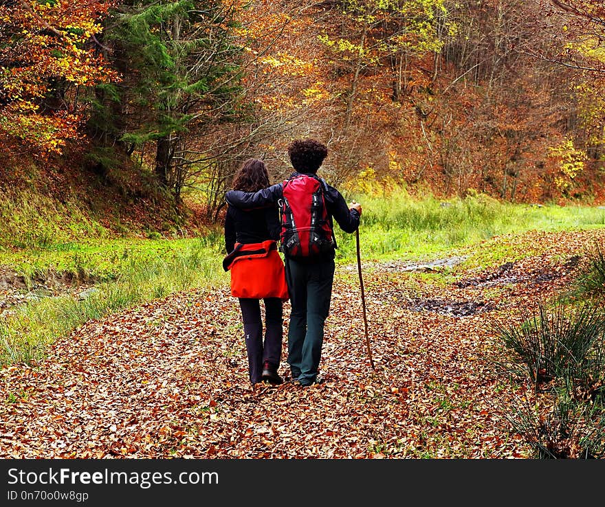 Young couple walking on a path in a decidous forest. Sureanu Mountain, Hunedoara county, Romania, Europe. Young couple walking on a path in a decidous forest. Sureanu Mountain, Hunedoara county, Romania, Europe