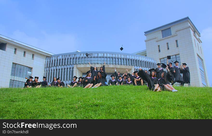 Grass, Campus, Lawn, Building