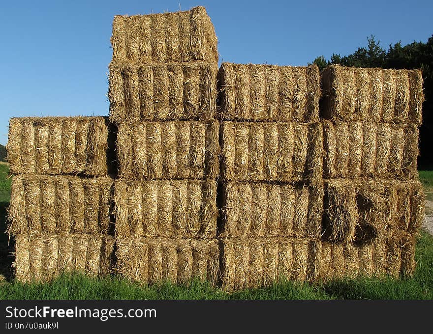 Hay, Straw, Grass, Field