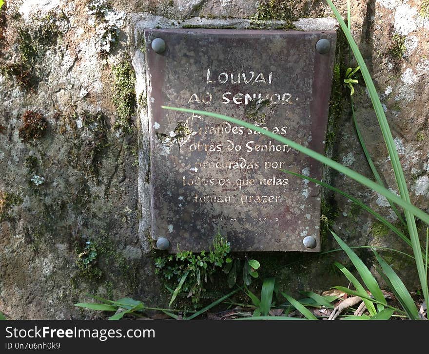 Nature Reserve, Grave, Grass, Headstone