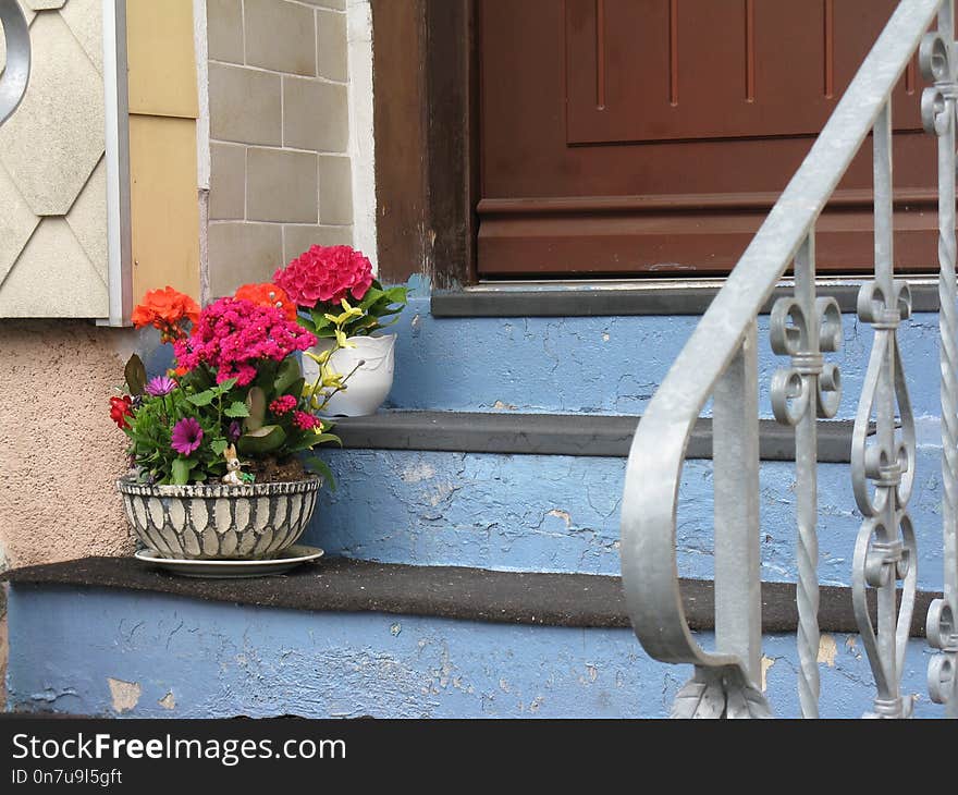 Window, Handrail, Flower, House