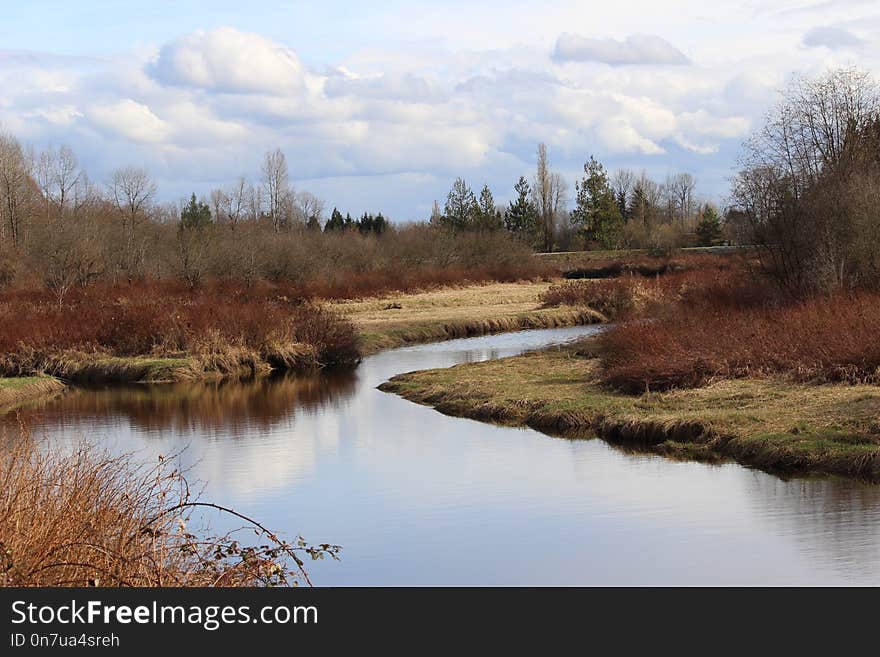 Wetland, Water, Reflection, Nature Reserve