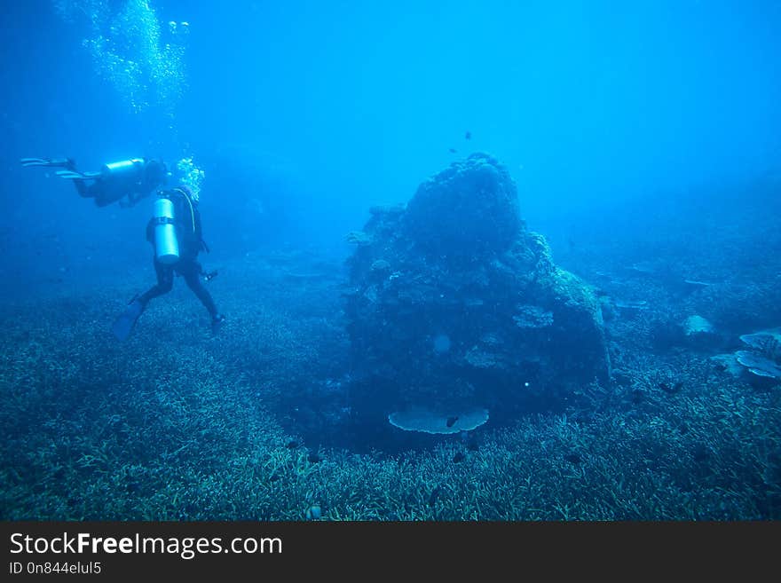 Beautiful diving underwater with Fishes and Corals at Losin south of Thailand 2018