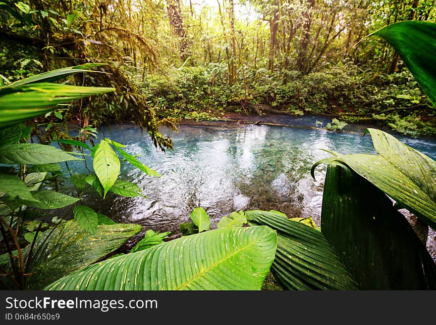 Beautiful stream water flowing down in rain forest. Costa Rica, Central America. Beautiful stream water flowing down in rain forest. Costa Rica, Central America