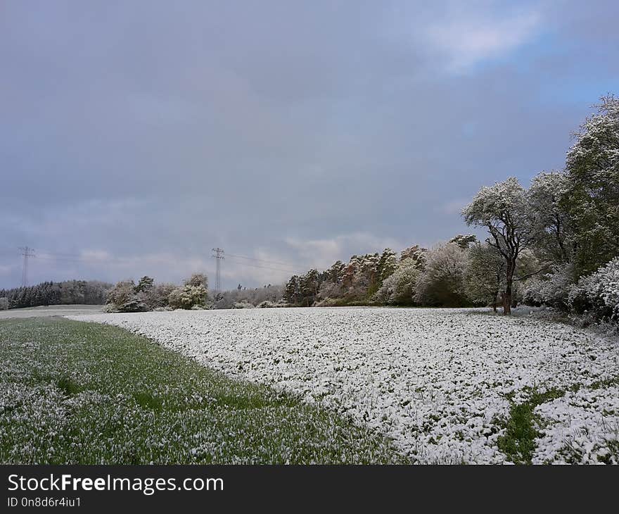 Snow, Sky, Winter, Cloud