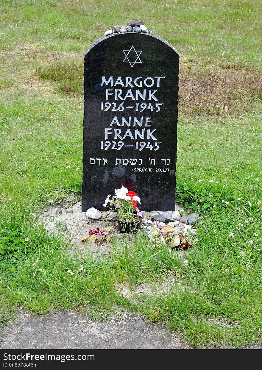 Grave, Headstone, Grass, Cemetery