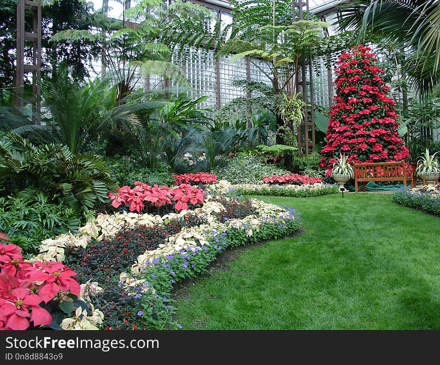 Plant, Garden, Botanical Garden, Flower