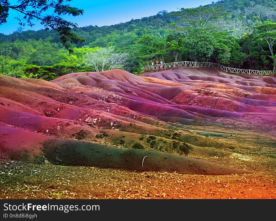 Nature, Vegetation, Ecosystem, Nature Reserve