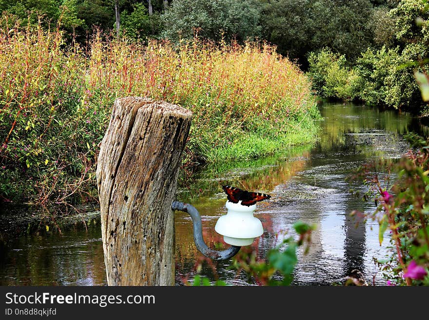 Water, Reflection, Nature, Waterway