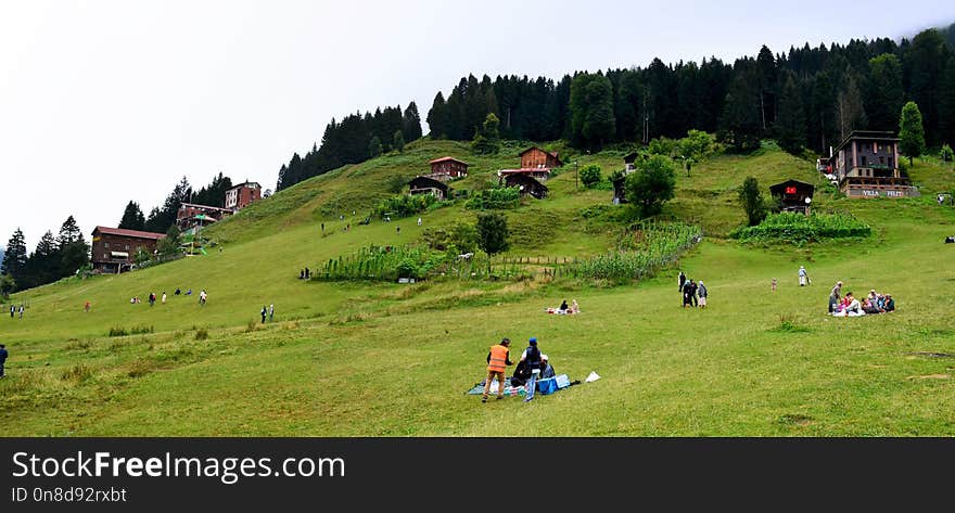 Grassland, Mountainous Landforms, Nature, Mountain Range