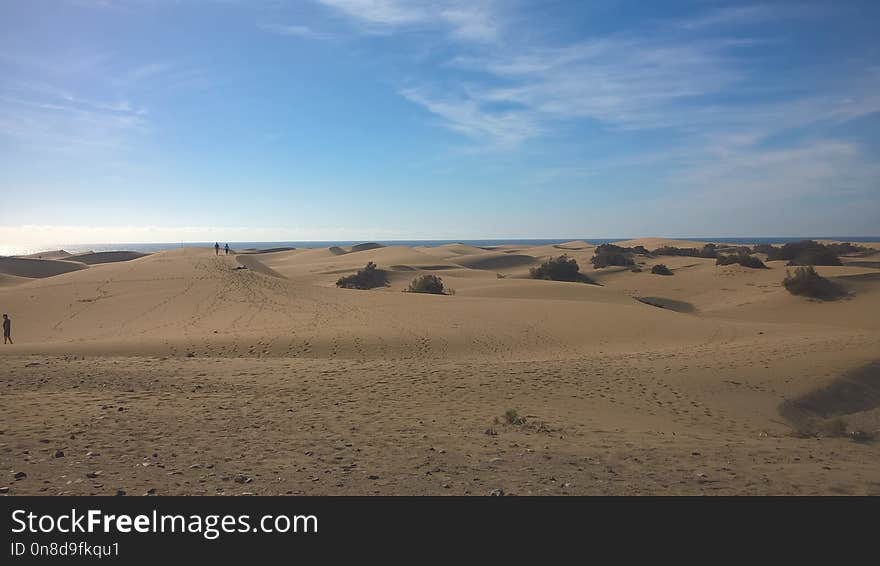 Desert, Aeolian Landform, Erg, Ecosystem