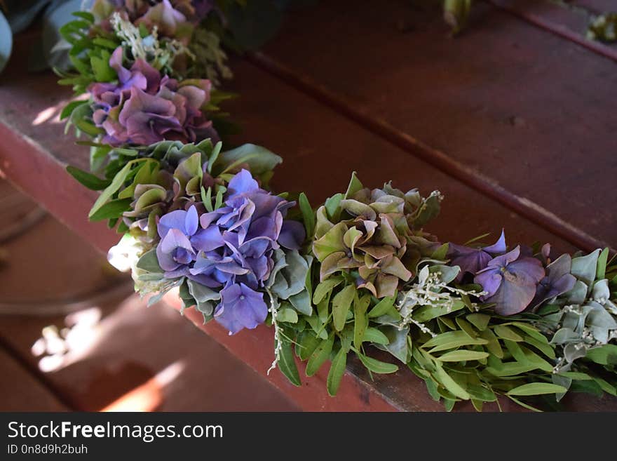 Flower, Plant, Floristry, Purple