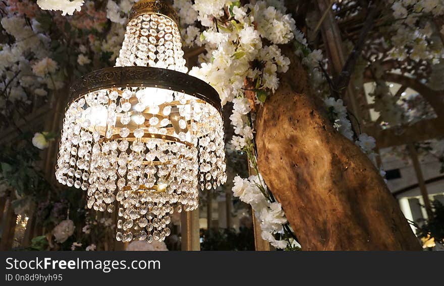 Light Fixture, Chandelier, Lighting, Flower