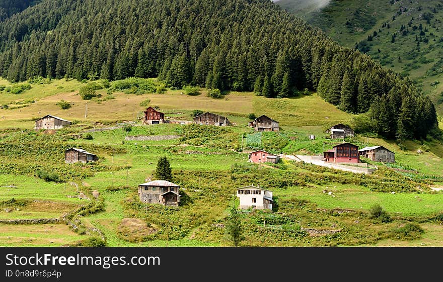 Mountain Village, Grassland, Nature Reserve, Pasture