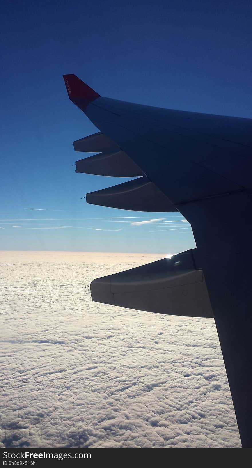 Sky, Blue, Sea, Airplane