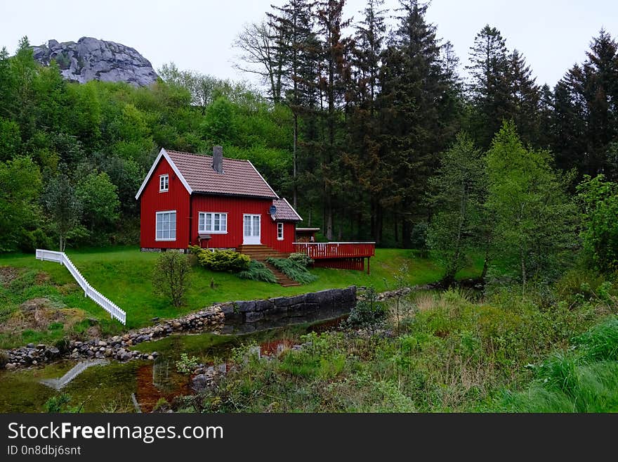 Nature, Wilderness, Cottage, House