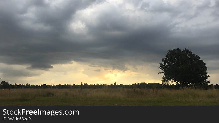 Sky, Cloud, Ecosystem, Cumulus