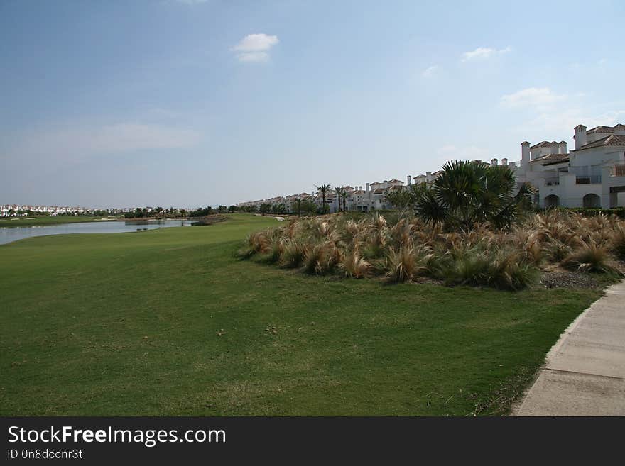 Sky, Tree, Grass, Estate