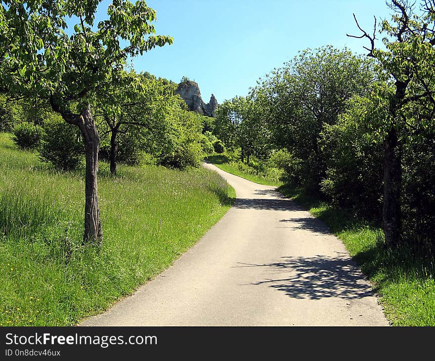 Road, Path, Nature, Vegetation