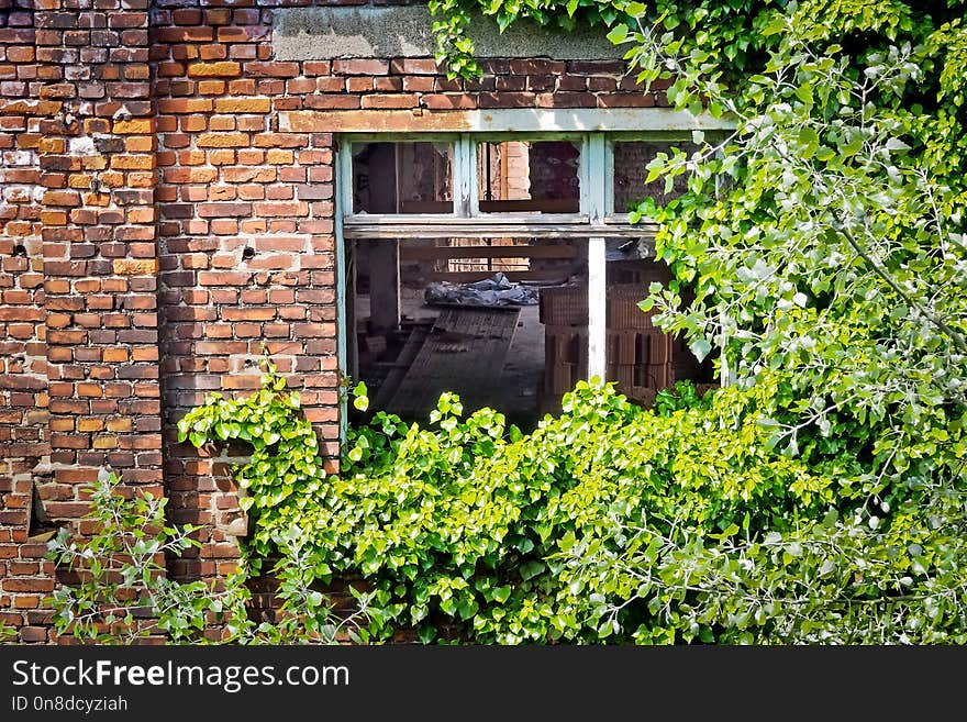 Wall, Cottage, Brick, Window