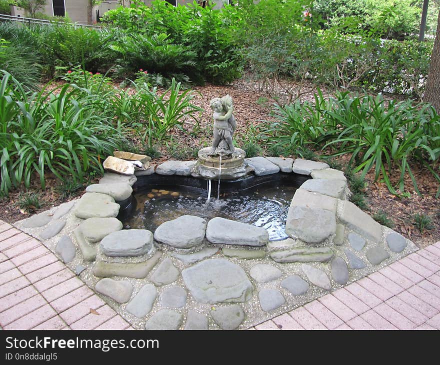 Garden, Water Feature, Pond, Water