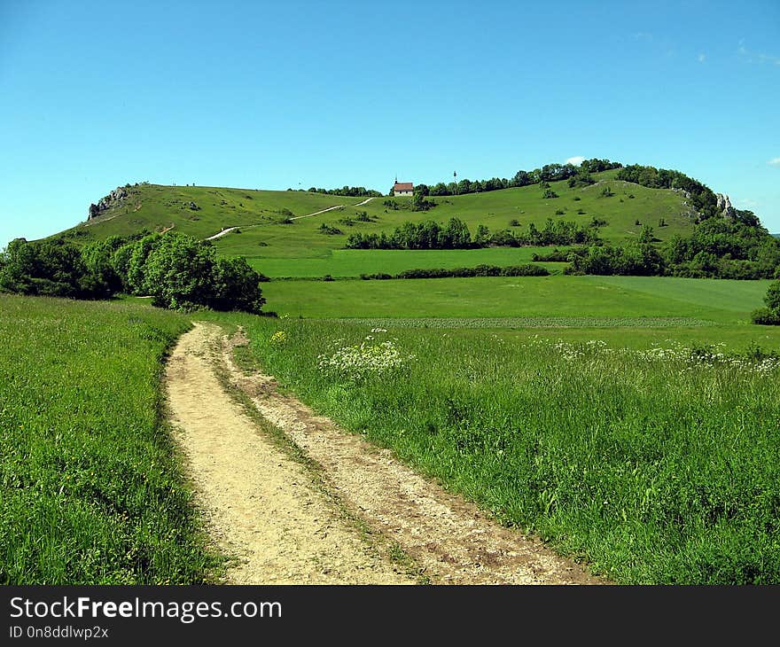 Grassland, Pasture, Prairie, Field