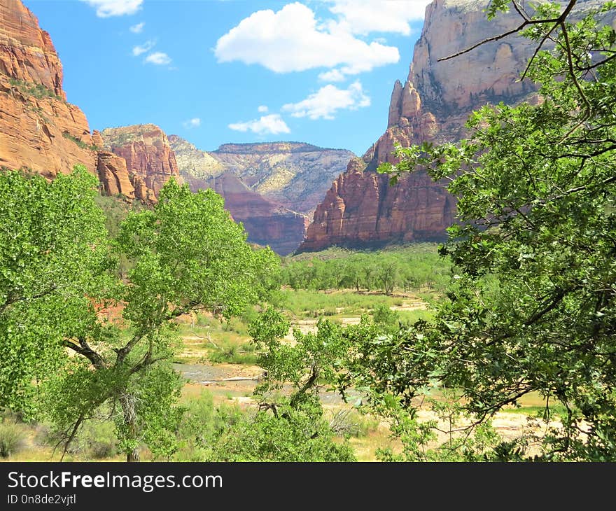 Nature, Vegetation, Wilderness, Nature Reserve