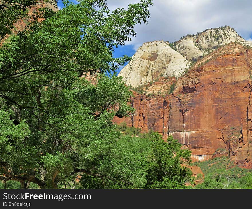 Nature, Vegetation, Nature Reserve, Rock