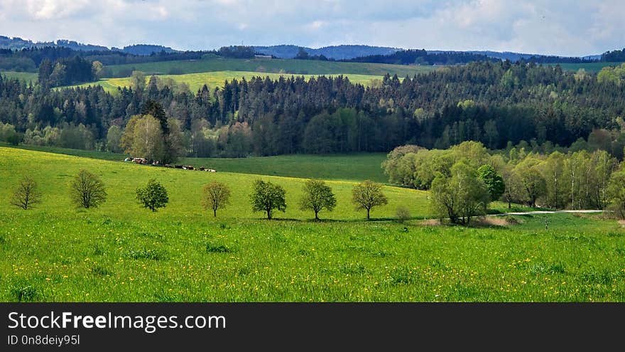 Grassland, Pasture, Ecosystem, Field