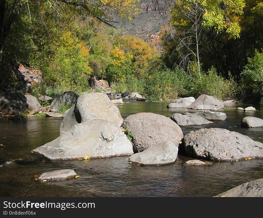 Water, Nature, Body Of Water, Nature Reserve