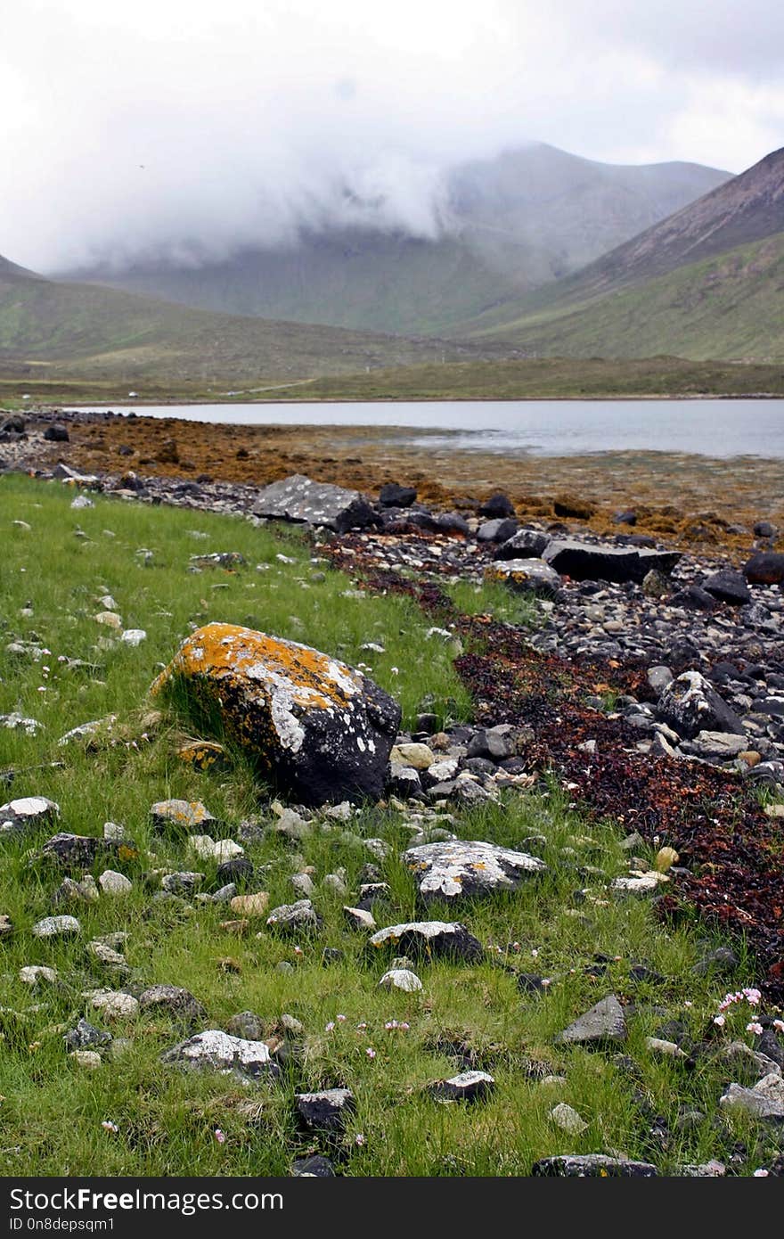 Wilderness, Highland, Mountain, Vegetation