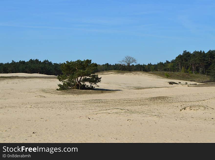 Sand, Aeolian Landform, Beach, Dune