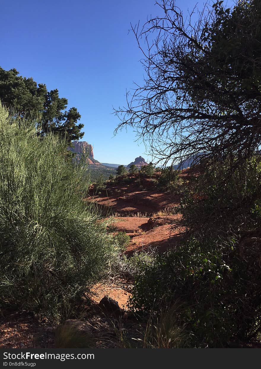 Sky, Nature, Vegetation, Wilderness