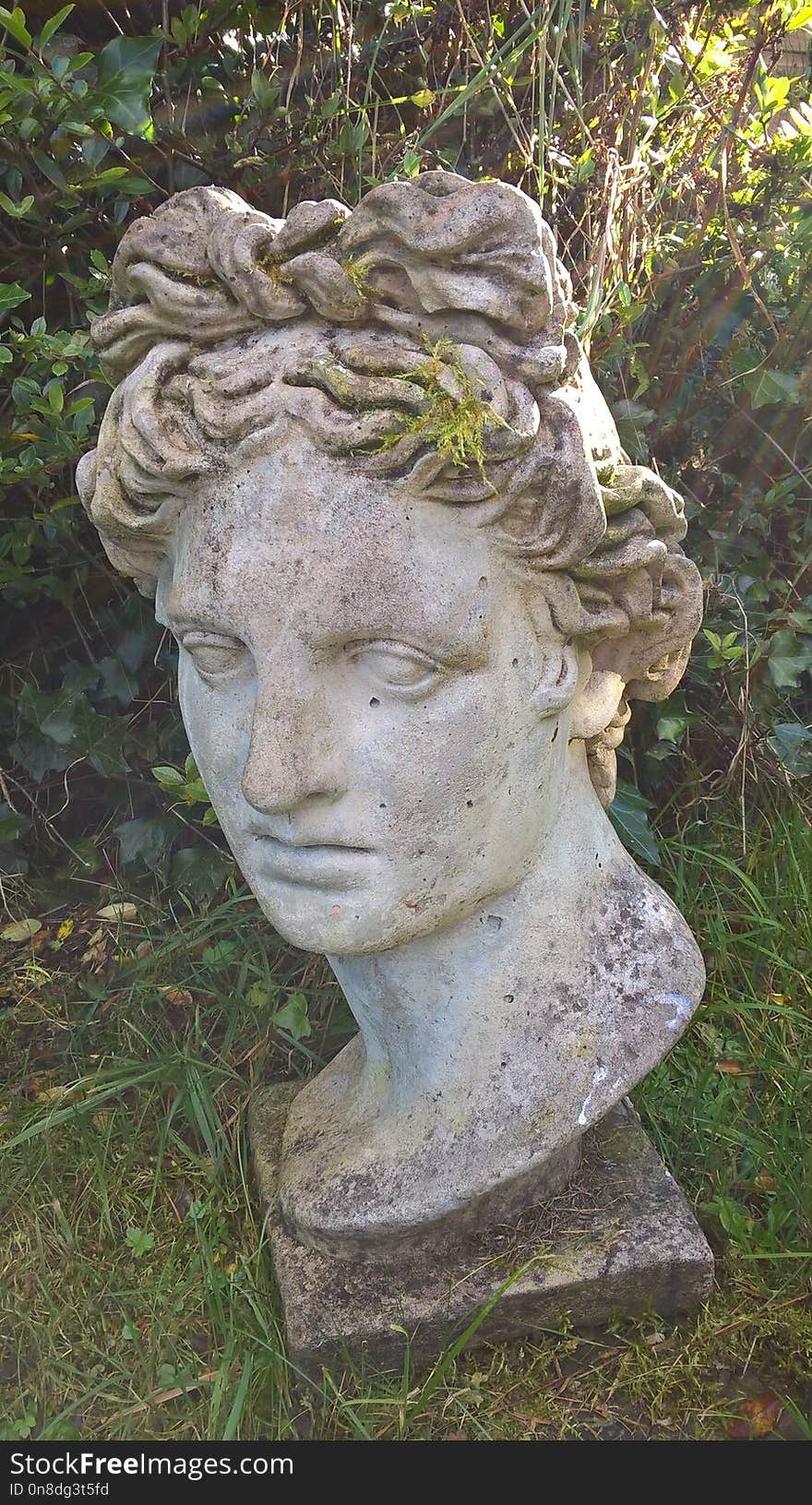 Sculpture, Stone Carving, Statue, Head