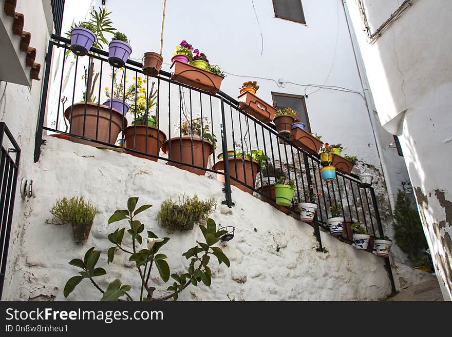 Property, Balcony, Flower, Outdoor Structure