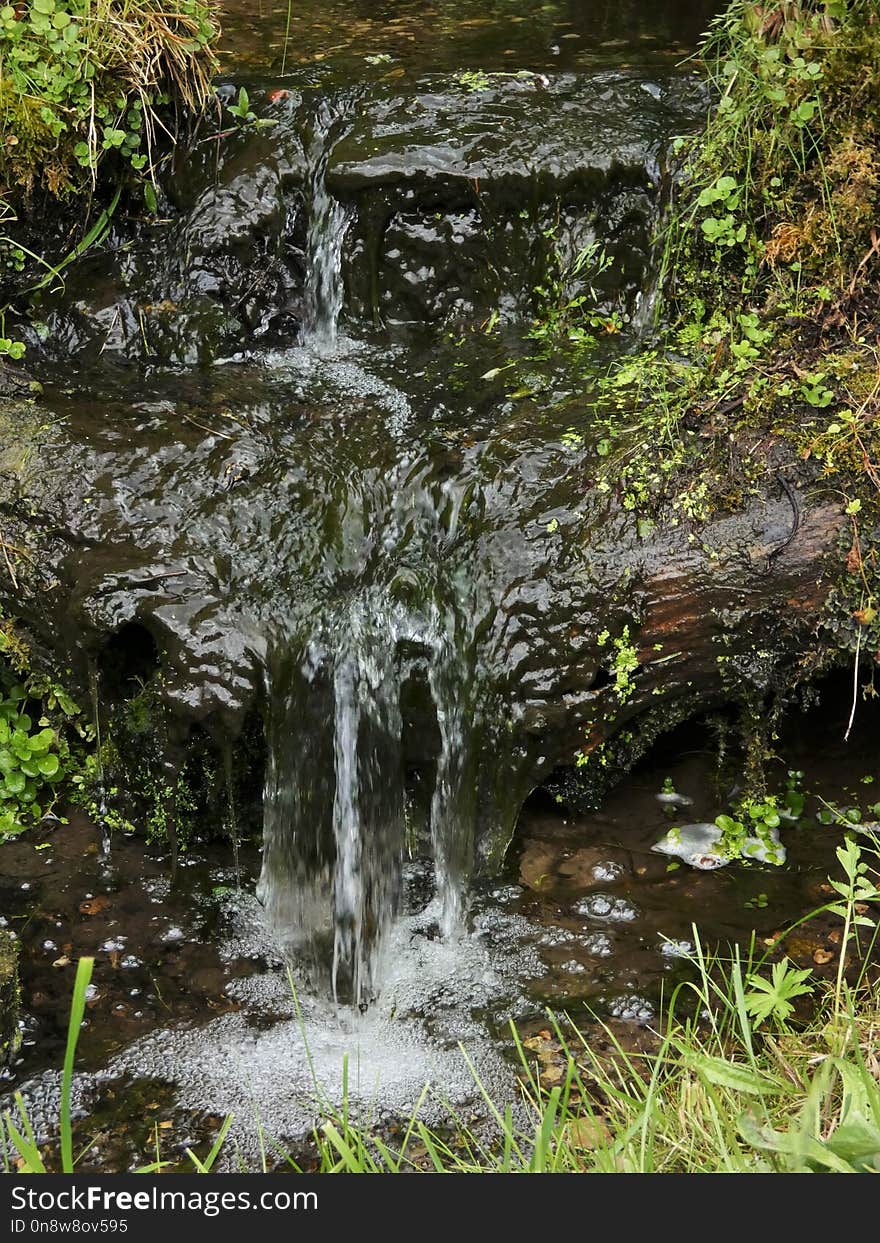 Water, Nature, Vegetation, Watercourse