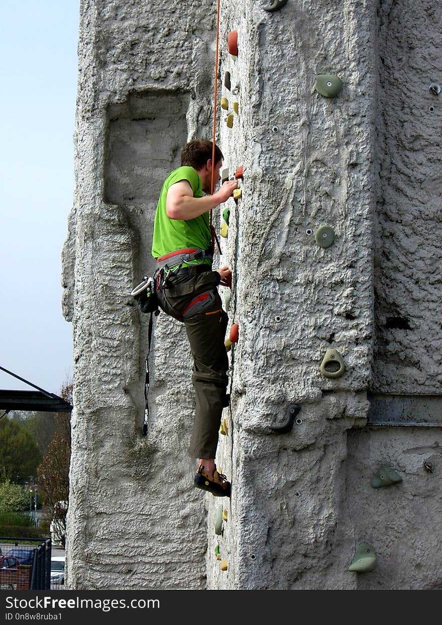 Climbing, Tree, Adventure, Rock Climbing