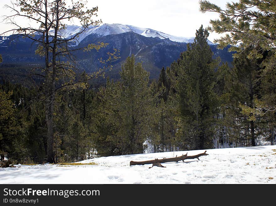 Snow, Winter, Wilderness, Mountainous Landforms