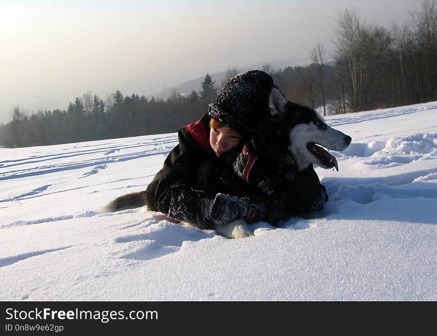 Snow, Winter, Dog Like Mammal, Mushing