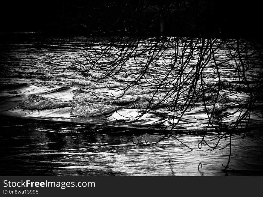 Reflection, Water, Black, Black And White