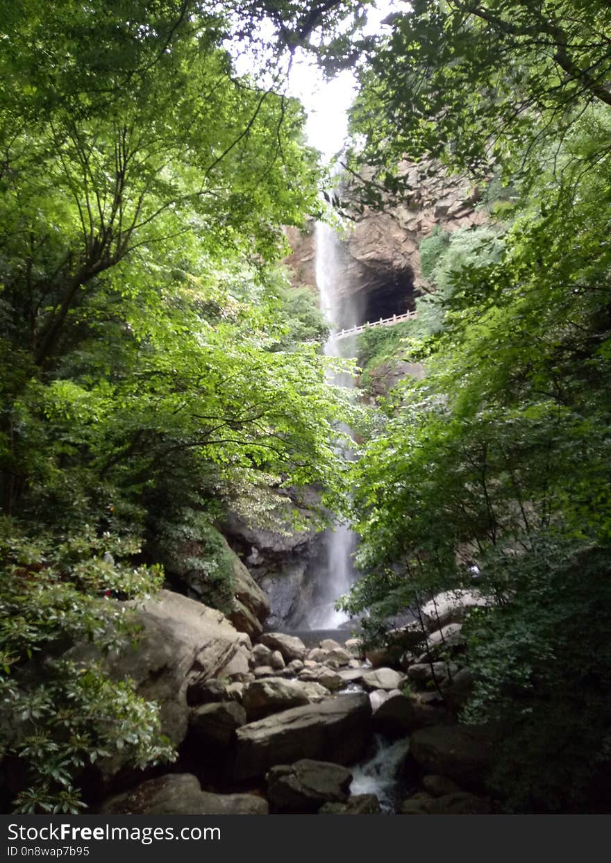 Waterfall, Nature, Vegetation, Nature Reserve