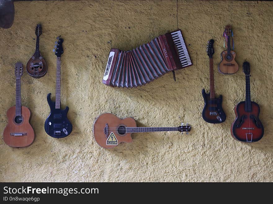 Musical Instrument, Guitar, Bass Guitar, Plucked String Instruments