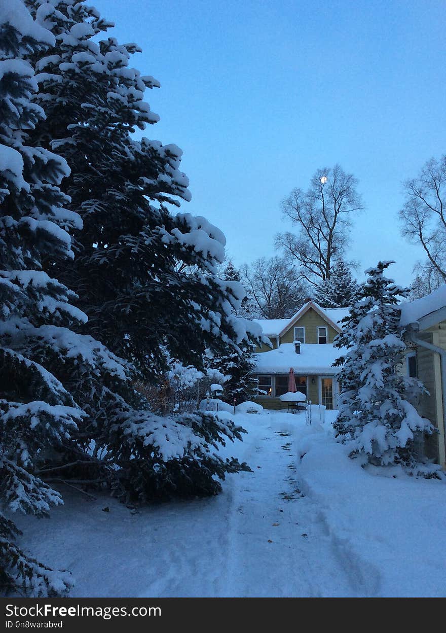 Snow, Winter, Sky, Tree