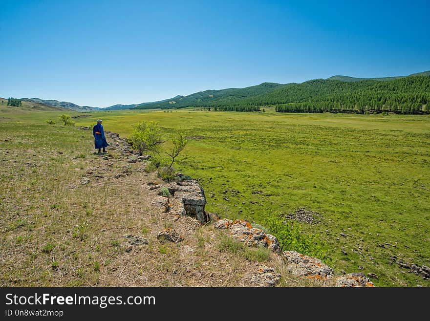 Grassland, Ecosystem, Pasture, Wilderness