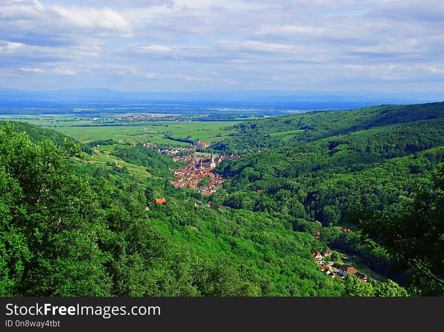 Nature, Sky, Vegetation, Leaf