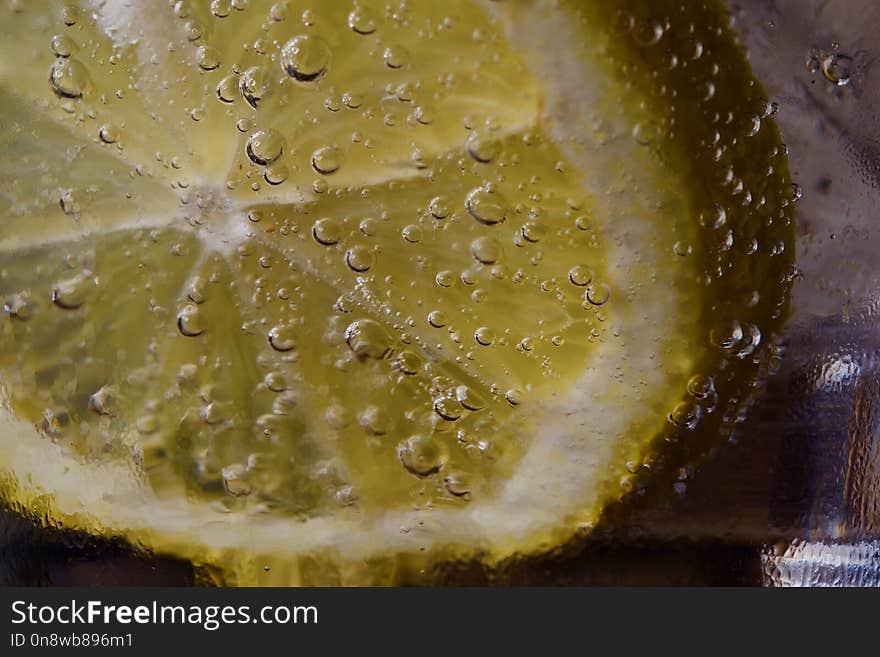 Water, Macro Photography, Close Up, Organism