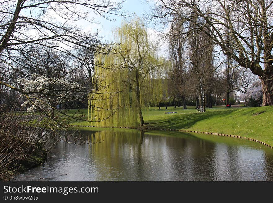 Waterway, Water, Reflection, Tree