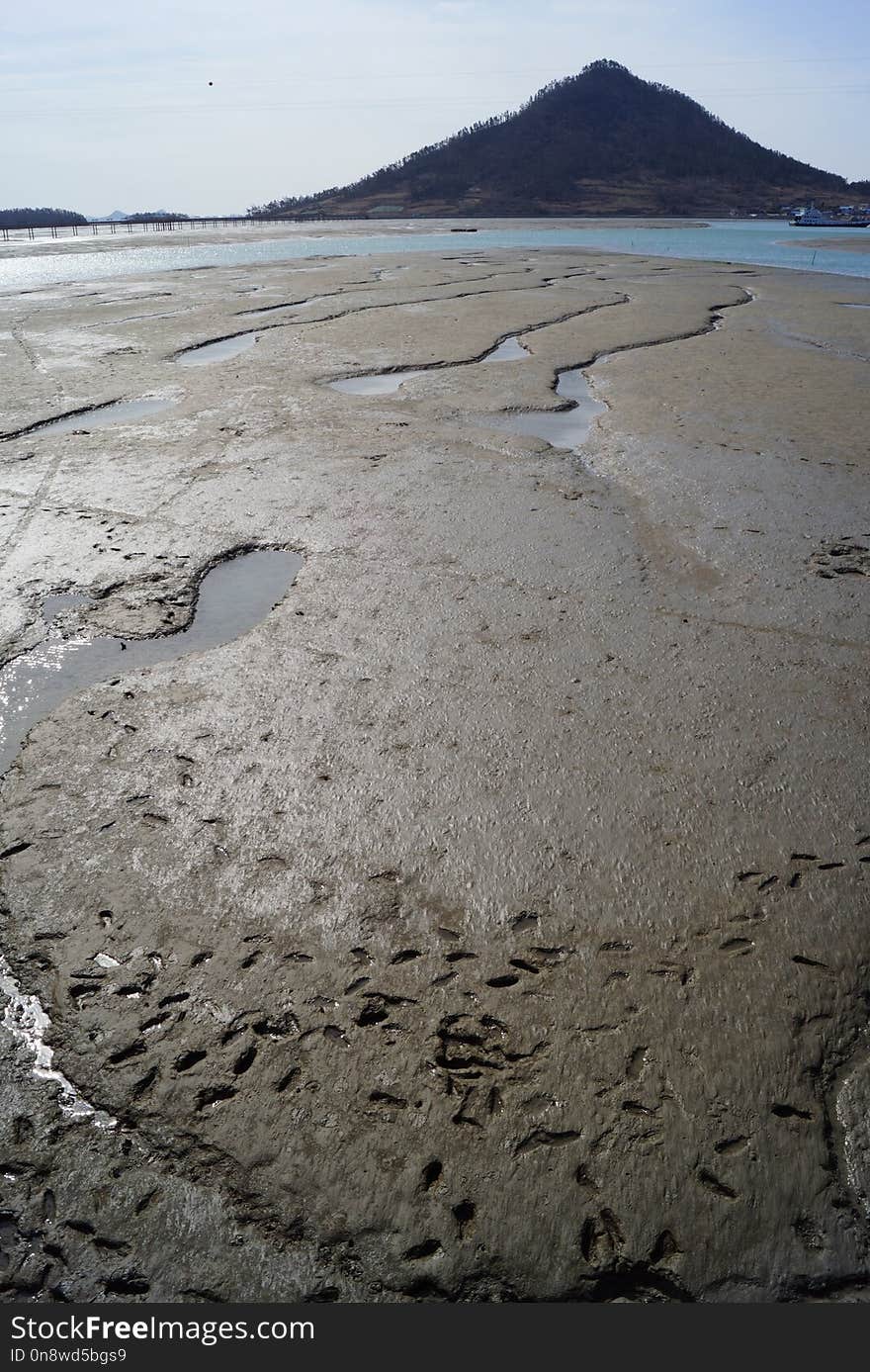 Shore, Sea, Mudflat, Sky